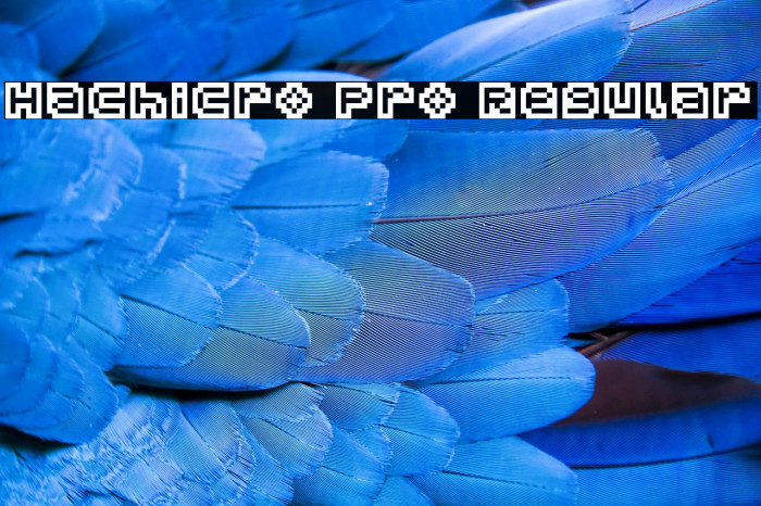 Hachicro Pro Regular Example 3