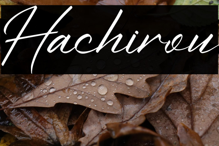 Hachirou Example 1