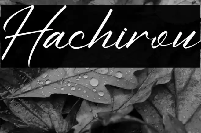 Hachirou Font examples