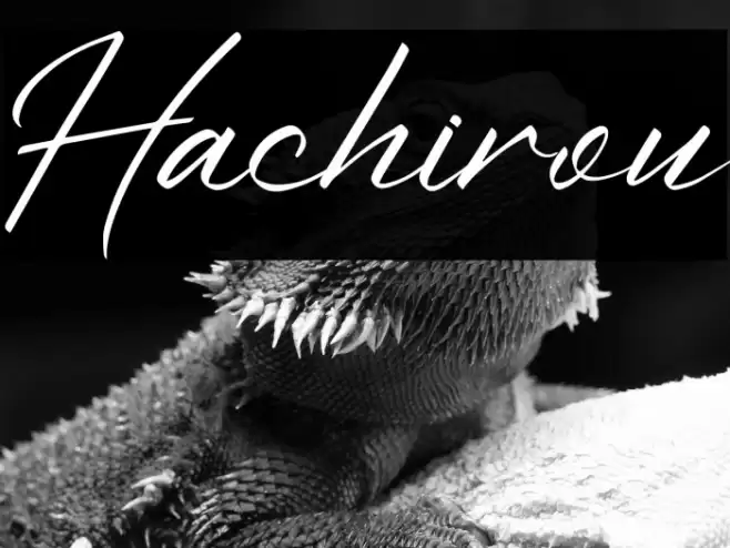 Hachirou Font examples