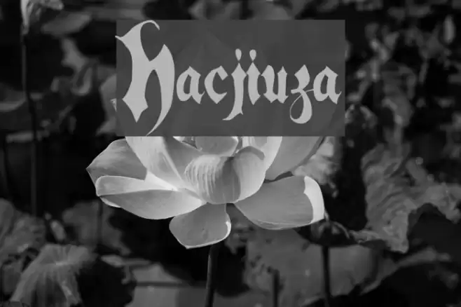 Hacjiuza Font examples