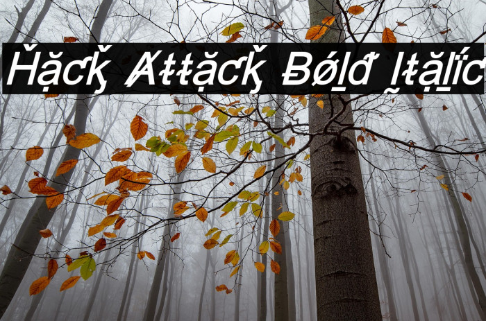 Hack Attack Bold Italic Example 2