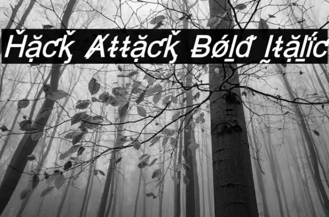 Hack Attack Bold Italic Font examples