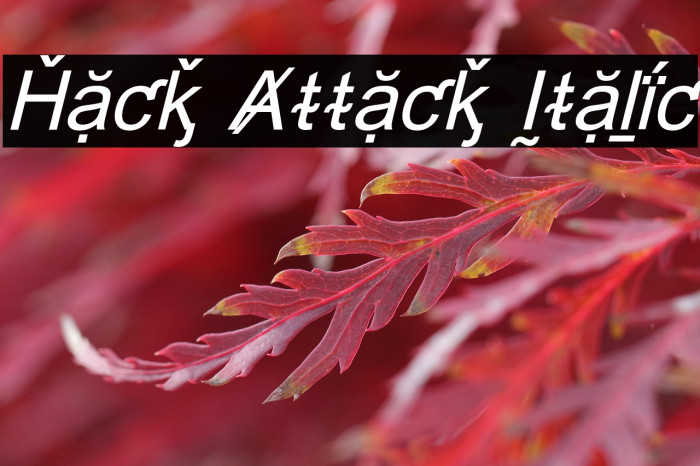 Hack Attack Italic Example 2
