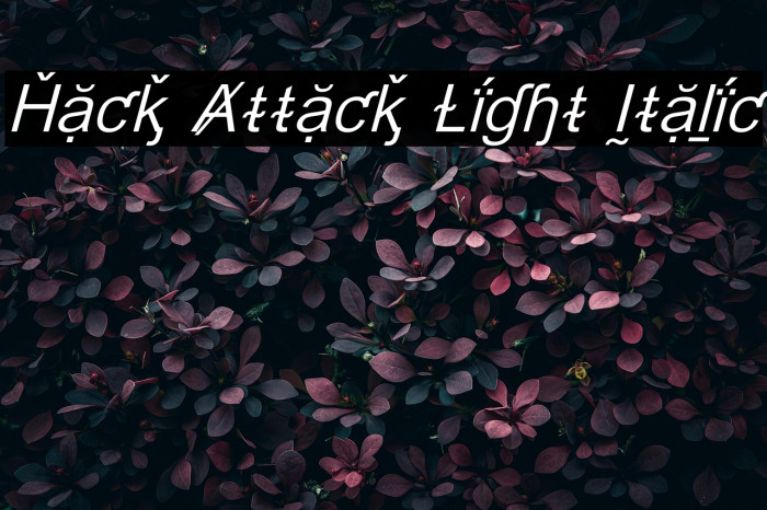Hack Attack Light Italic Example 1
