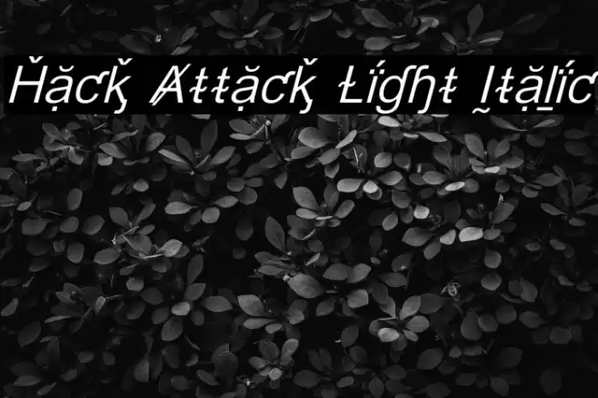Hack Attack Light Italic Font examples