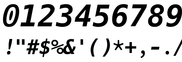 Hack Bold Italic Font OTHER CHARS