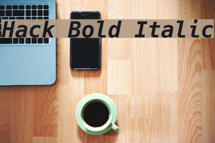 Hack Bold Italic Font examples