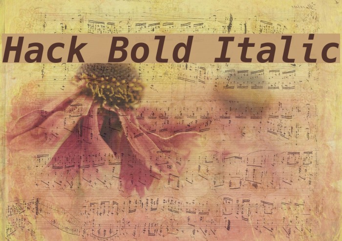 Hack Bold Italic Font examples
