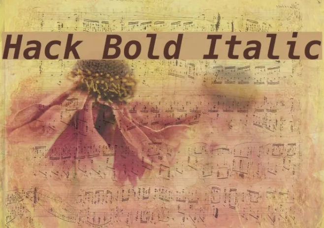 Hack Bold Italic Example 2