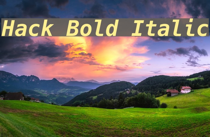 Hack Bold Italic Font examples