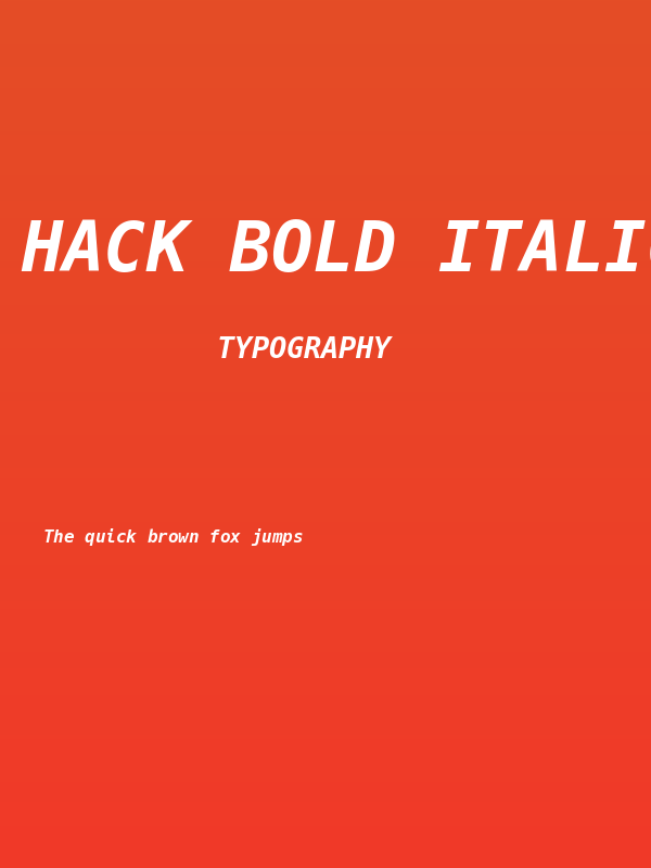 Hack Bold Italic Poster