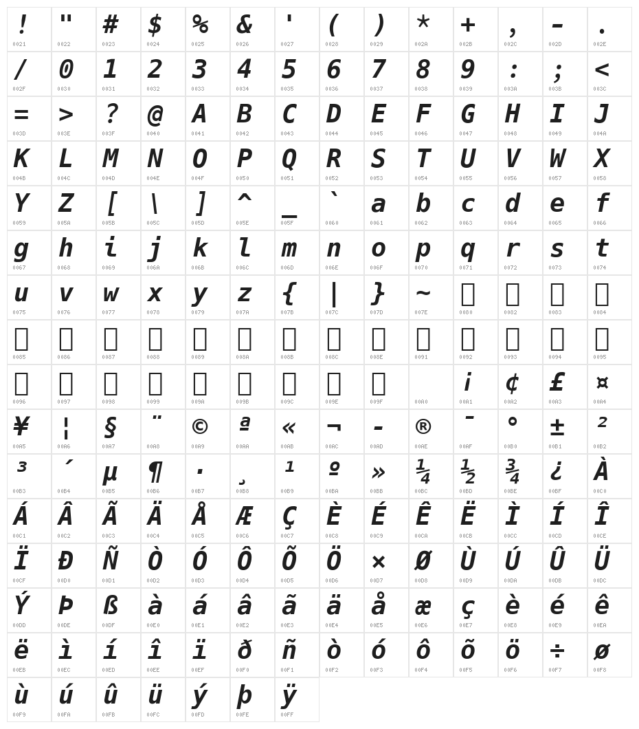 Hack Bold Oblique Character Map