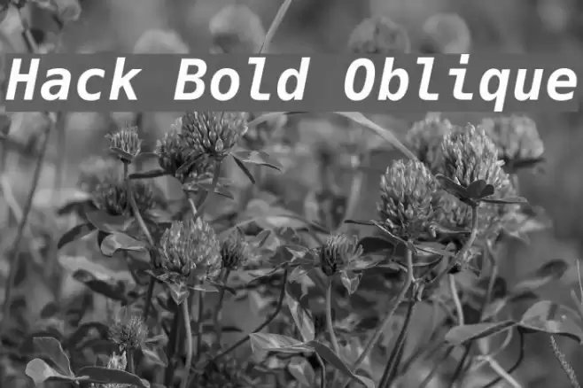 Hack Bold Oblique Polices examples