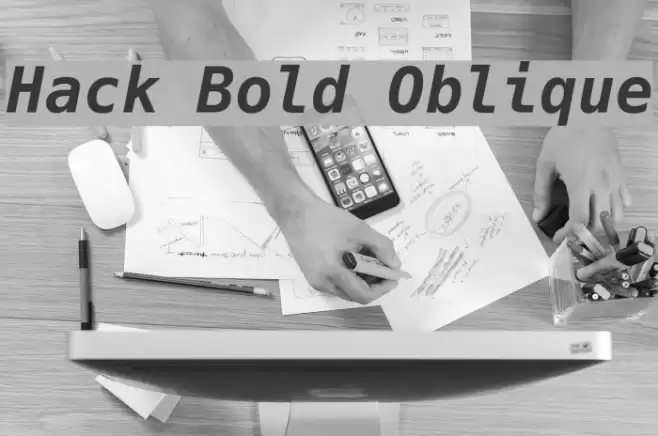 Hack Bold Oblique Polices examples