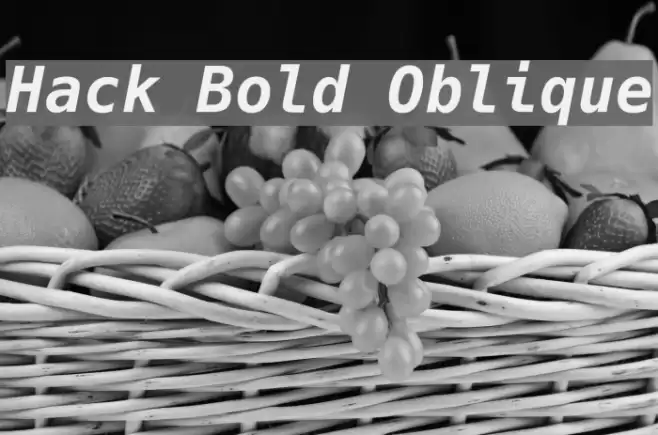 Hack Bold Oblique Polices examples