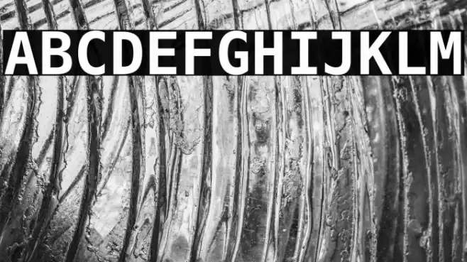 Hack Bold フォント examples