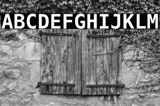 Hack Bold フォント examples