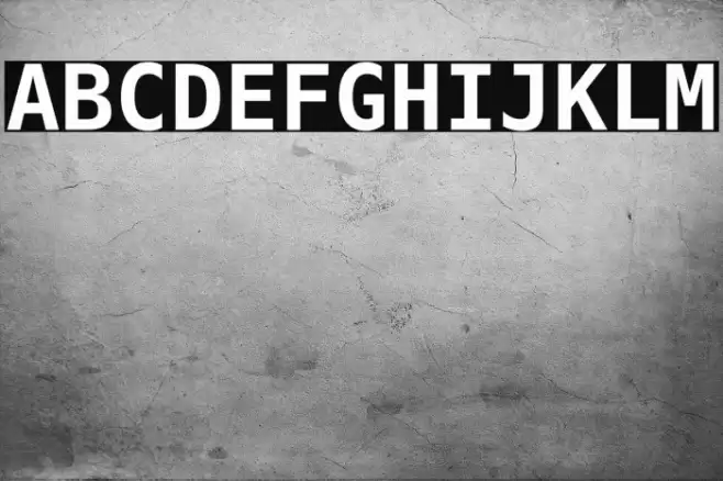 Hack Bold フォント examples