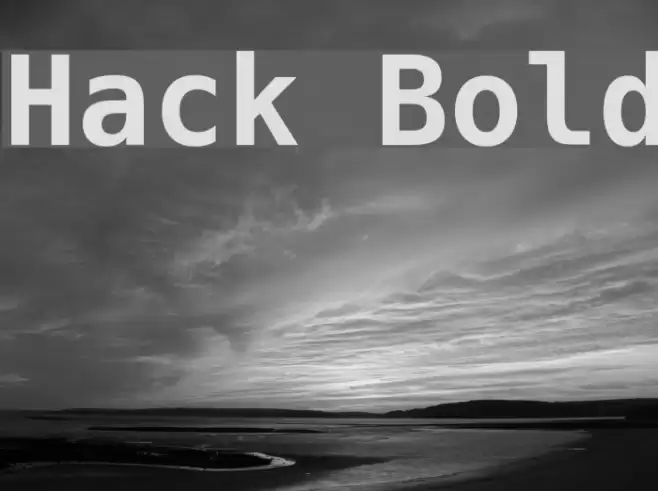 Hack Bold Font examples
