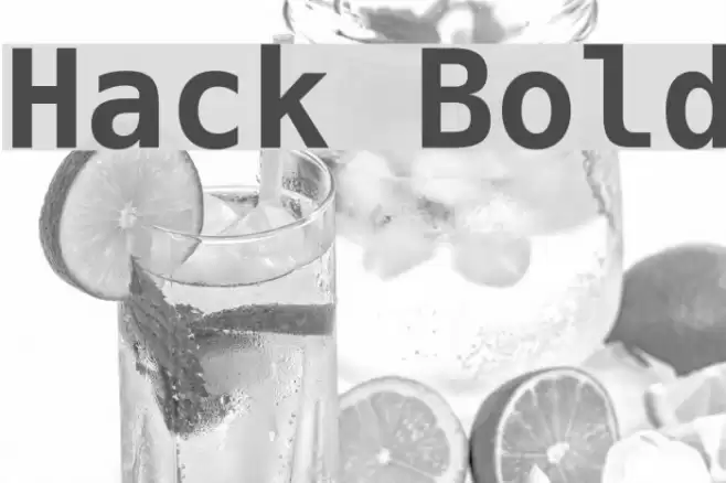 Hack Bold Font examples