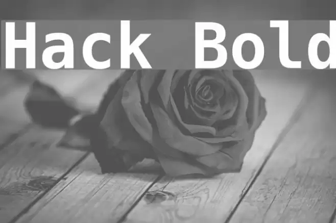 Hack Bold Font examples