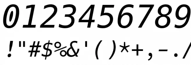 Hack Italic Font OTHER CHARS