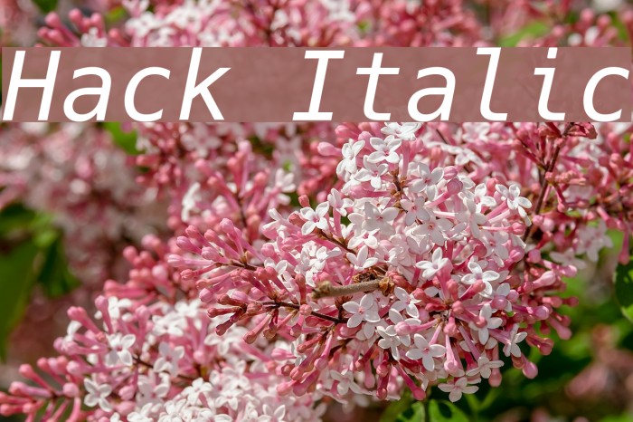 Hack Italic フォント examples