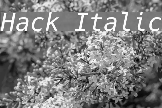 Hack Italic Font examples
