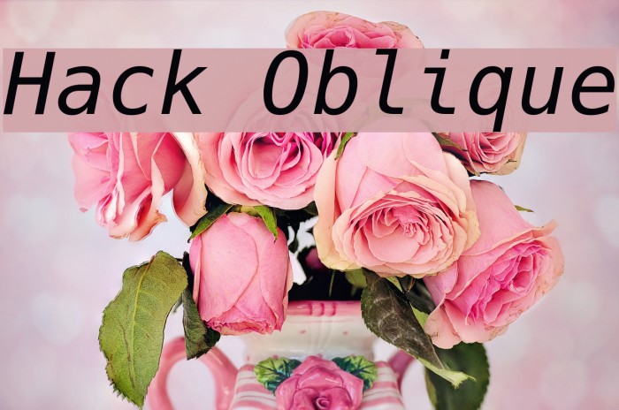 Hack Oblique Schriftart examples