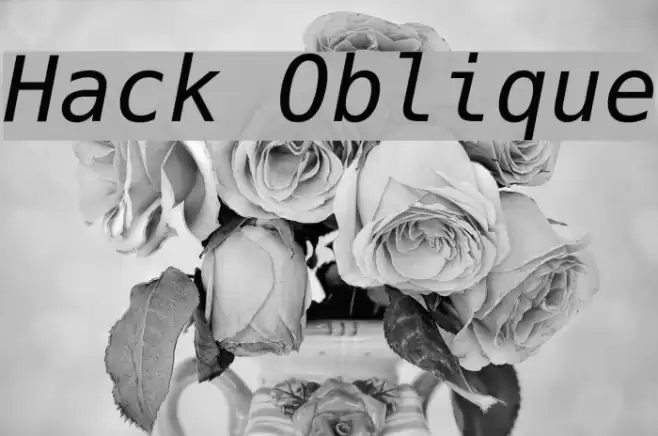 Hack Oblique Schriftart examples