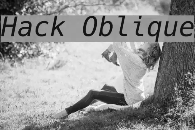 Hack Oblique Schriftart examples