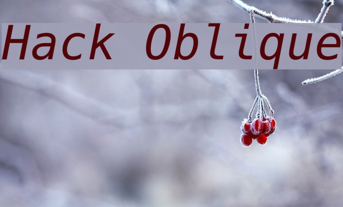 Hack Oblique Schriftart examples