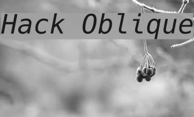 Hack Oblique Schriftart examples