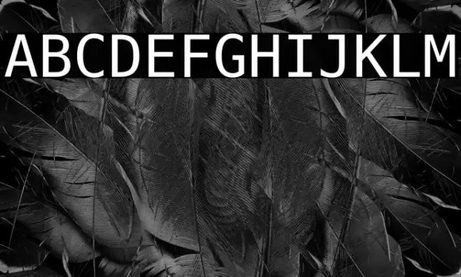 Hack Regular フォント examples