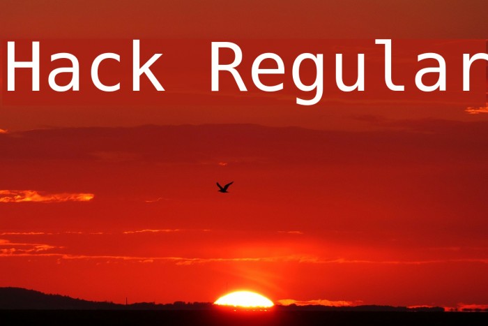 Hack Regular Polices examples