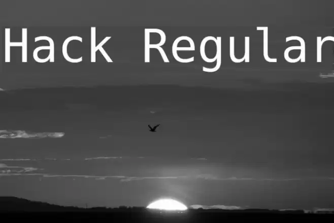 Hack Regular Font examples