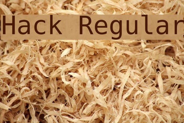 Hack Regular Polices examples