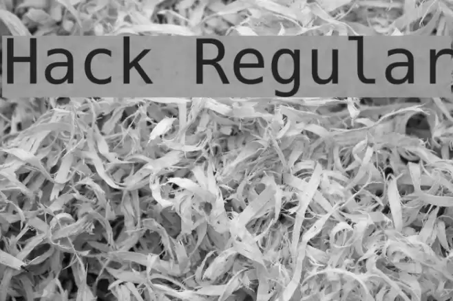 Hack Regular Font examples