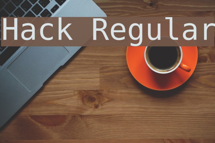 Hack Regular Polices examples