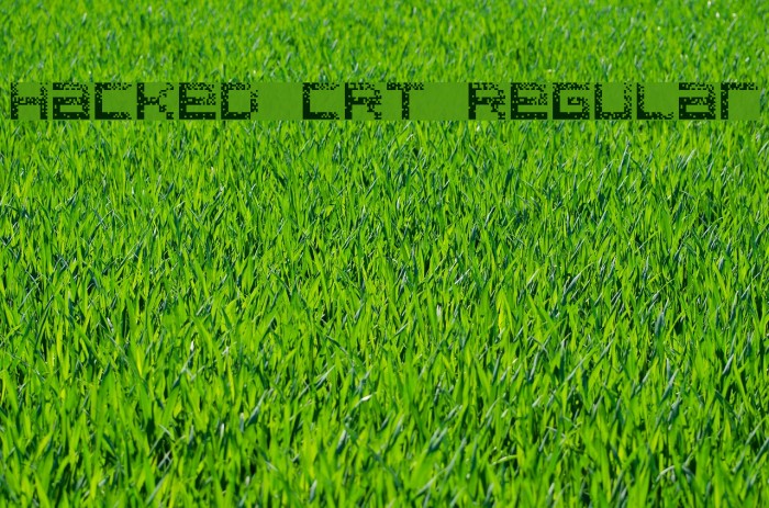 Hacked CRT Regular Font examples