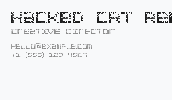 Hacked CRT Regular Business Card