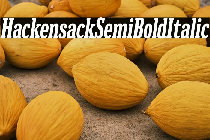 Hackensack SemiBold Italic Example 1