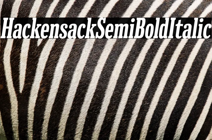 Hackensack SemiBold Italic Example 2