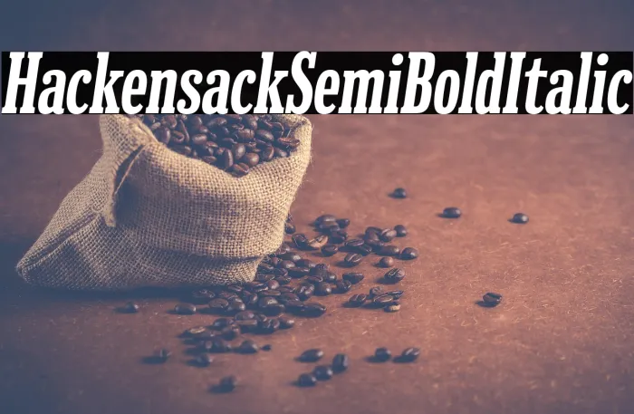 Hackensack SemiBold Italic Example 3