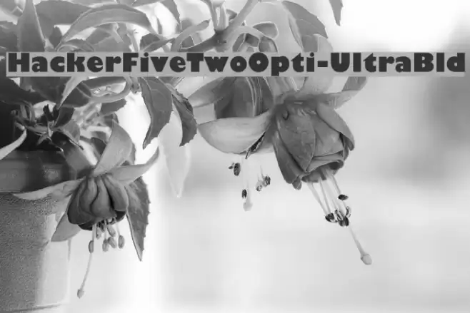 HackerFiveTwoOpti-UltraBld Schriftart examples