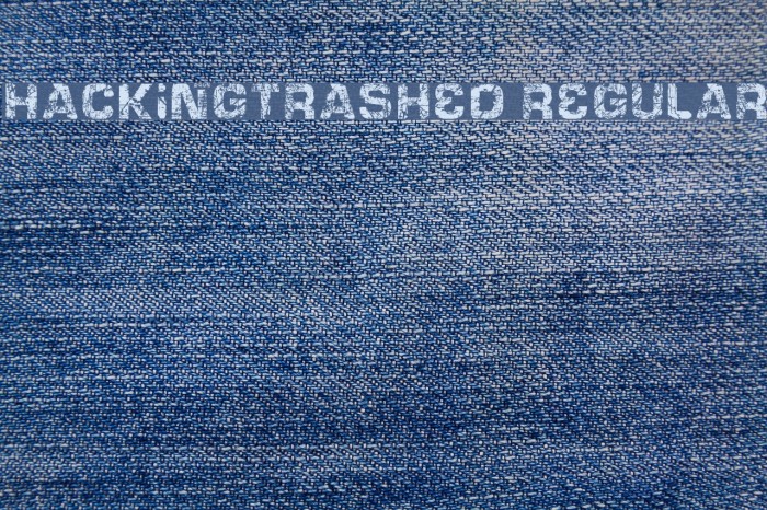 HackingTrashed Regular Font examples