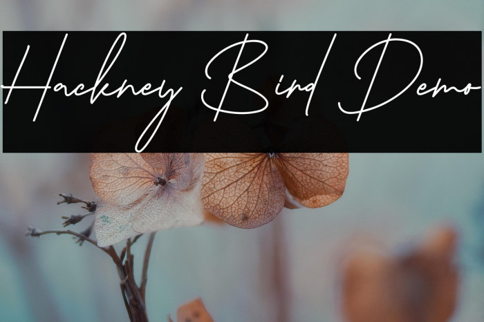 Hackney Bird Demo Example 1