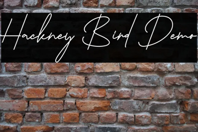 Hackney Bird Demo Example 2