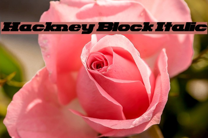Hackney Block Italic Font examples